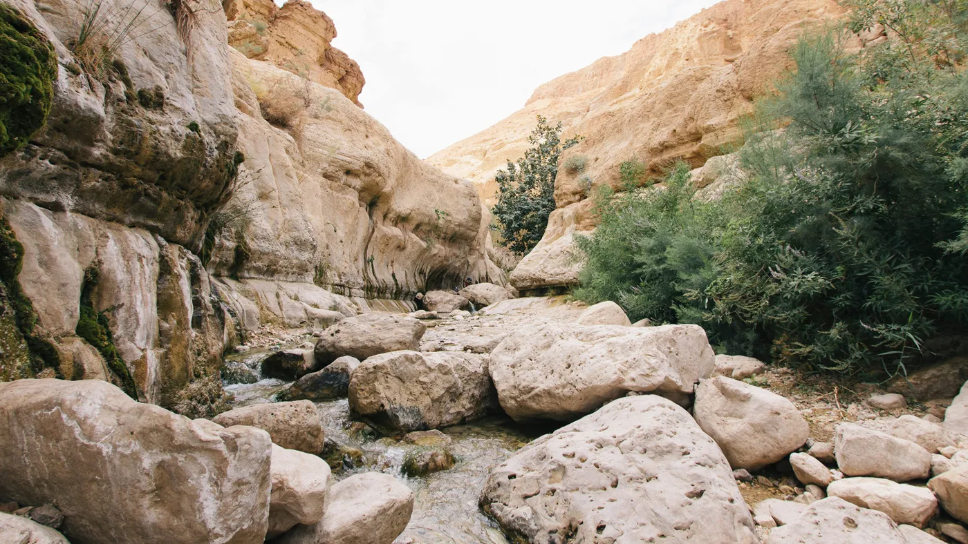 Ein Gedi Ein Gedi